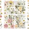 80-Piece Natural Dried Pressed Flowers for Crafts – Soft Yellow, White & Pink – Perfect for Resin, Jewelry, Candles, Soap Making & DIY Art – Tweezers Included (White 80pcs)